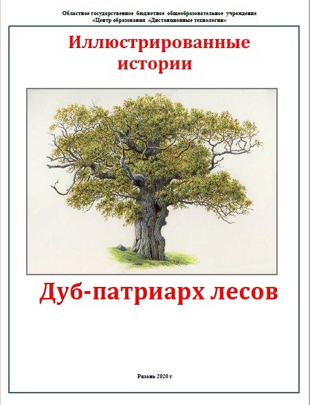 Рязанское региональное отделение Российского экологического общества и Центр образования «Дистанционные технологии» продолжают реализацию добровольческого проекта