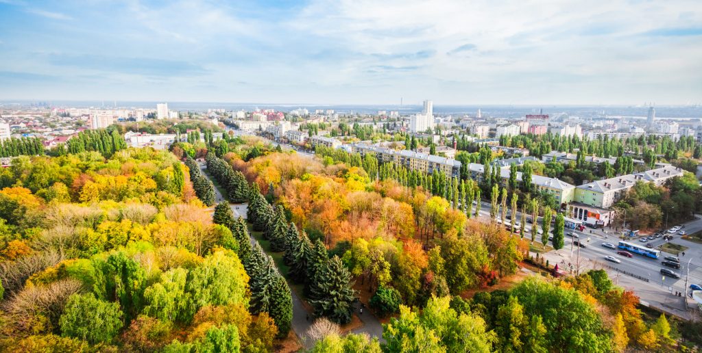 В Общественной палате города Липецка прошел круглый стол по вопросам озеленения