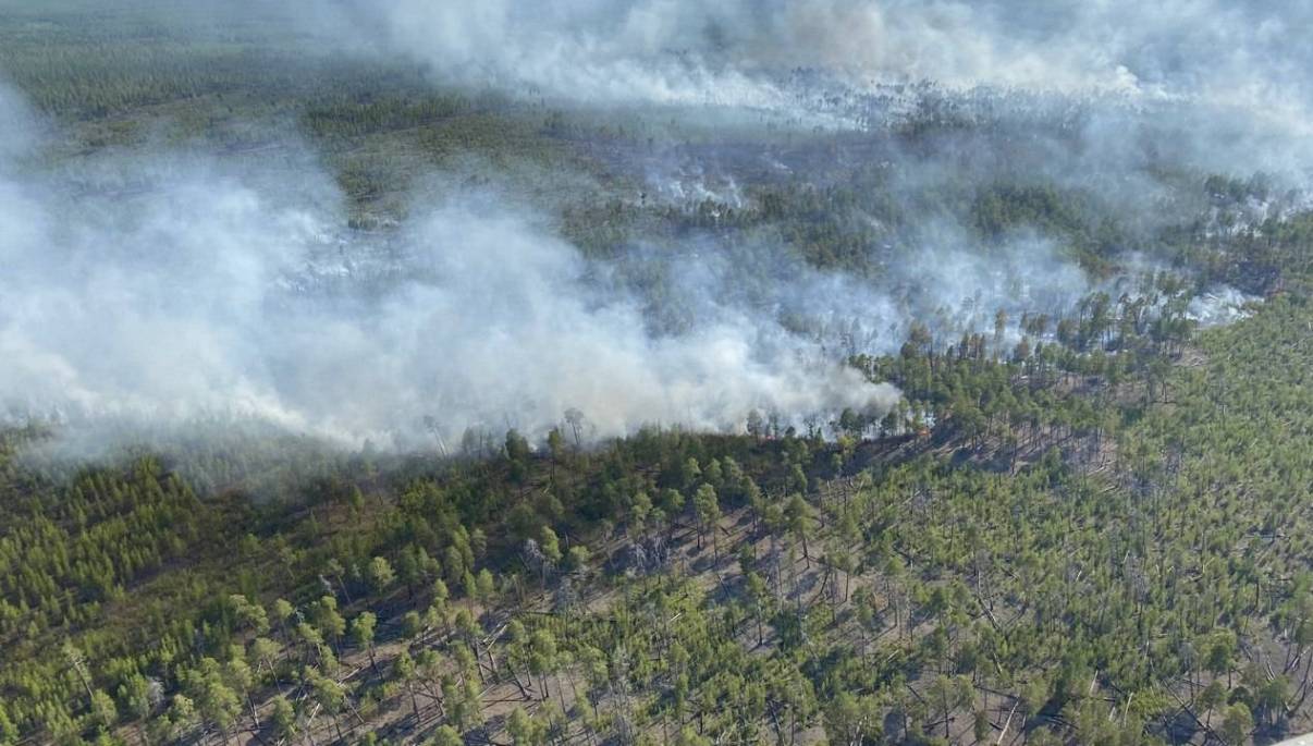 Минэкологии Якутии: замеры площадей лесных пожаров проводятся только после их ликвидации