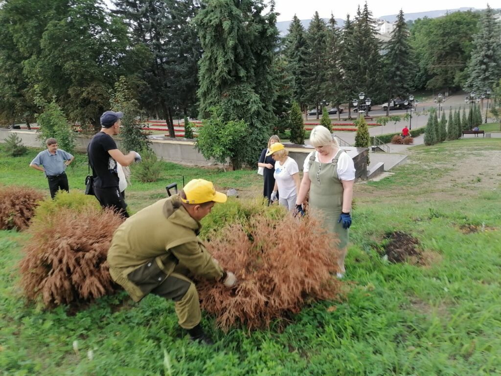 Кисловодские волонтеры ухаживают за деревьями в Саду Памяти