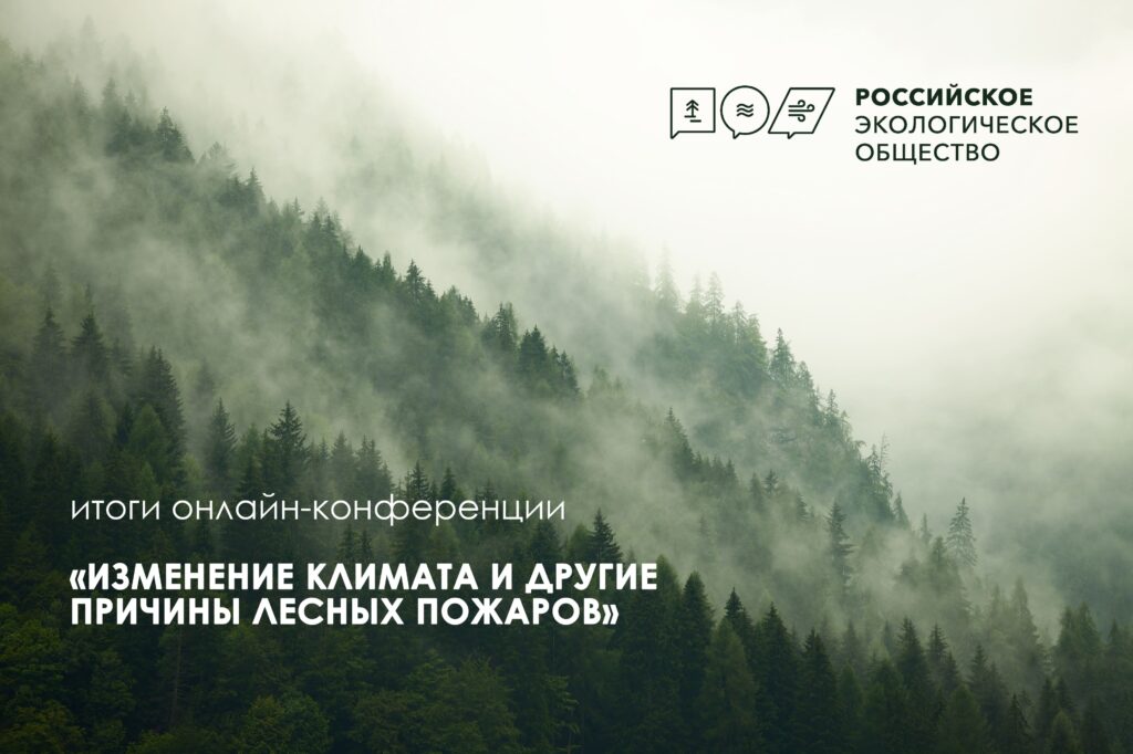 Изменение климата и проблемы лесных пожаров стали темой обсуждения на площадке Российского экологического общества