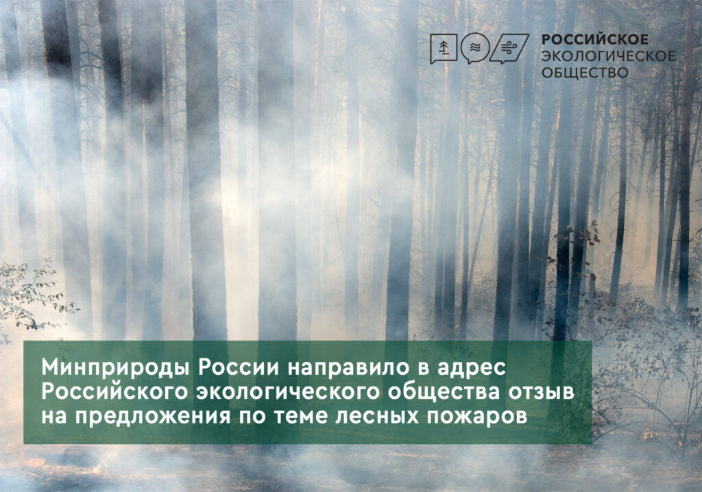 Минприроды России направило в адрес Российского экологического общества отзыв на предложения по теме лесных пожаров