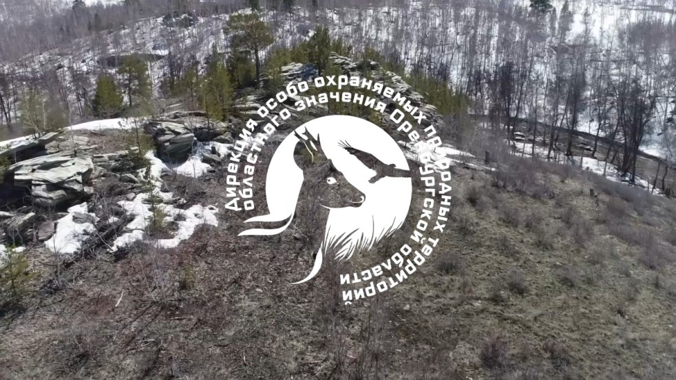 11 января в России отметили День заповедников и национальных парков