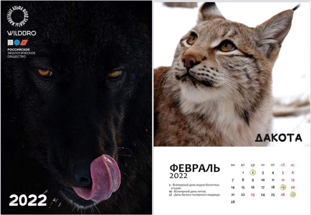 В Свердловском отделении Российского экологического общества разработали календарь на 2022 год