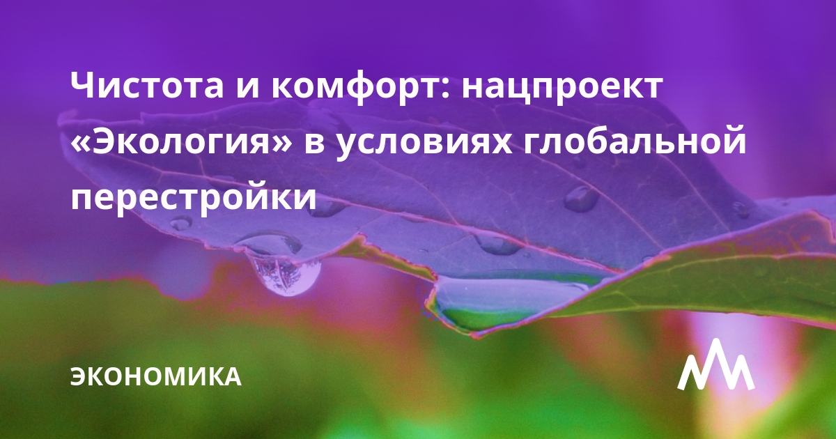 Чистота и комфорт: нацпроект «Экология» в условиях глобальной перестройки