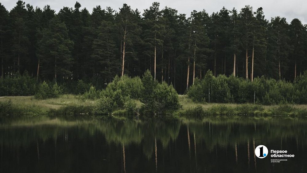 «Необходимо сохранять лесной массив»: Алексей Текслер — о зеленом поясе вокруг Челябинска