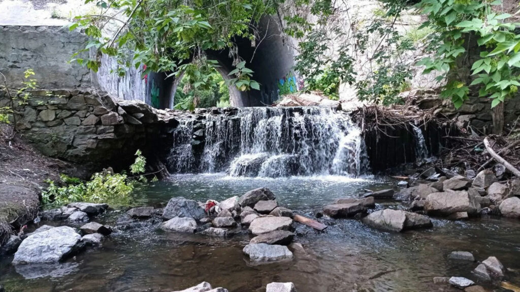 Пивоварский водопад может стать изюминкой туристического кластера Барнаула