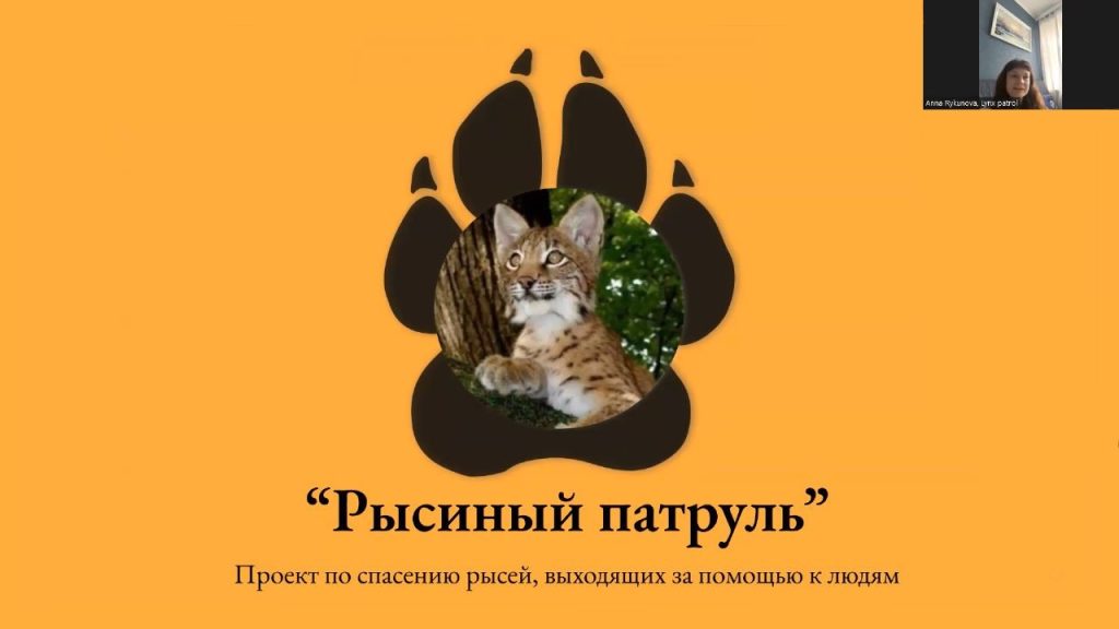 В повестке Российского экологического общества - оказание экстренной профессиональной помощи и спасение диких животных