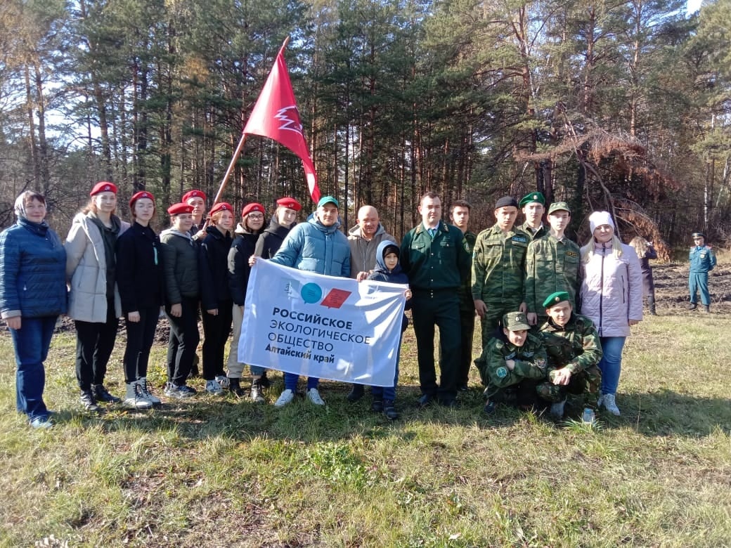 На территории Барнаульского лесничества высадили более 2 тыс саженцев сосны