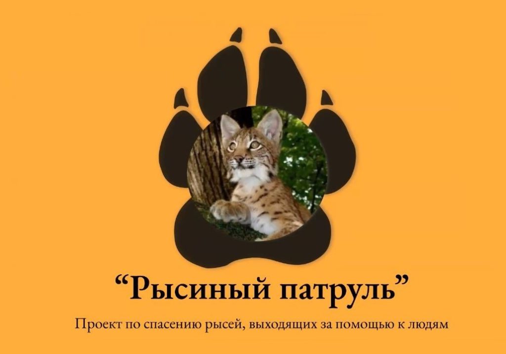 Группа быстрого реагирования создана в Российском экологическом обществе для спасения диких и экзотических животных