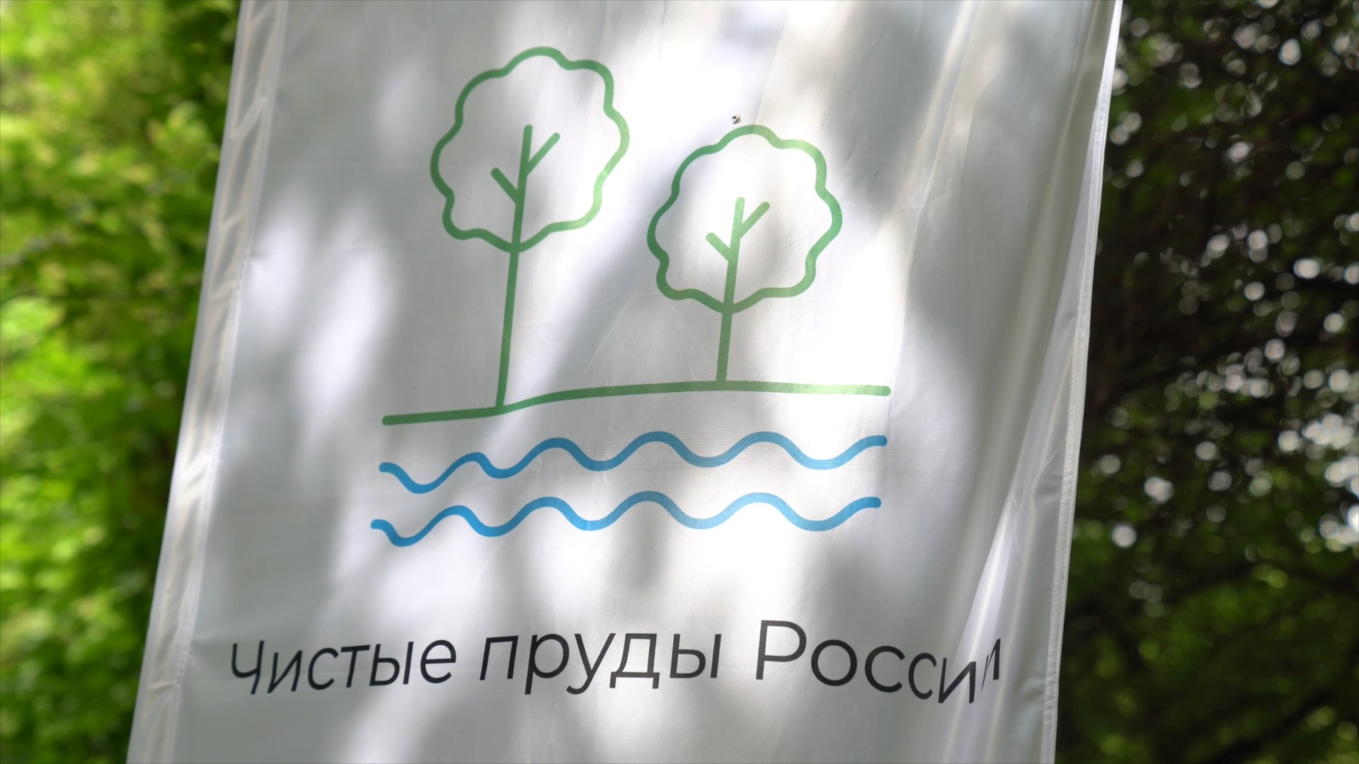 Завершается проект Российского экологического общества «Чистые пруды России»