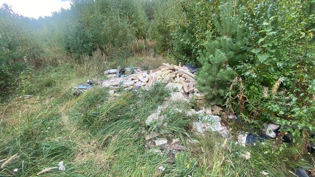 В Екатеринбурге муниципальные подрядчики вывозили мусор на незаконные свалки