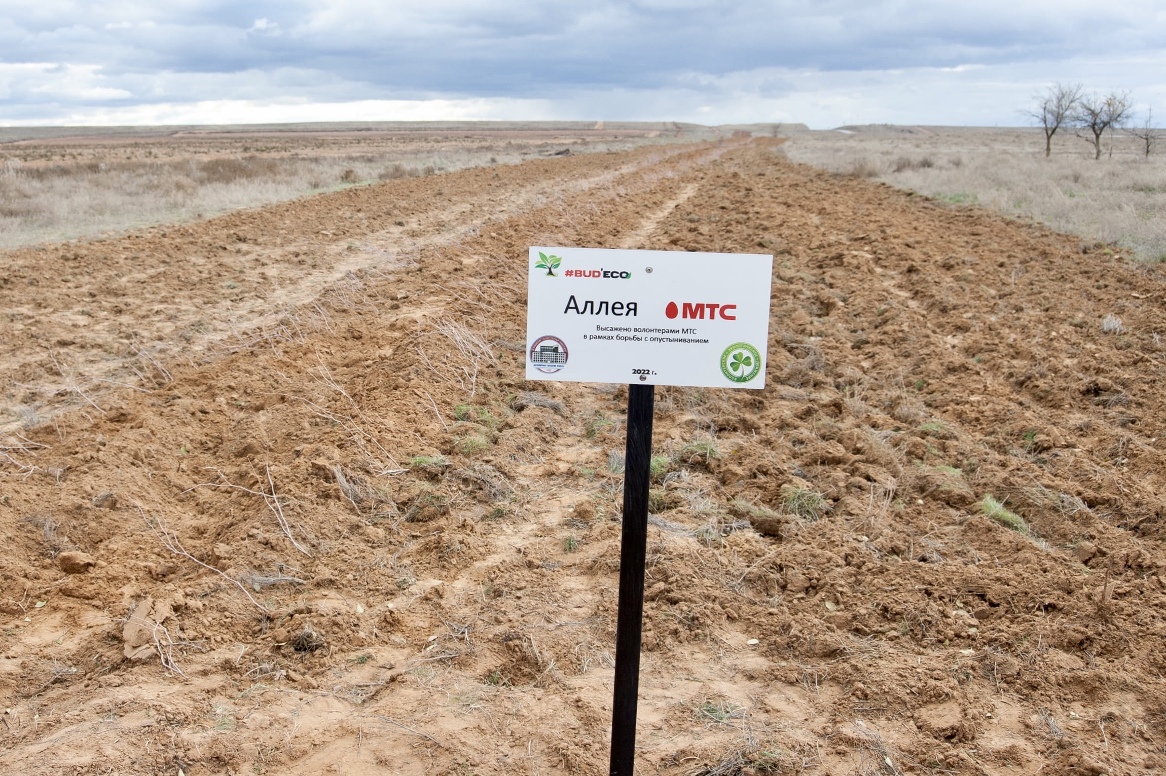 МТС запускает комплексный проект по борьбе с опустыниванием в Астраханской области