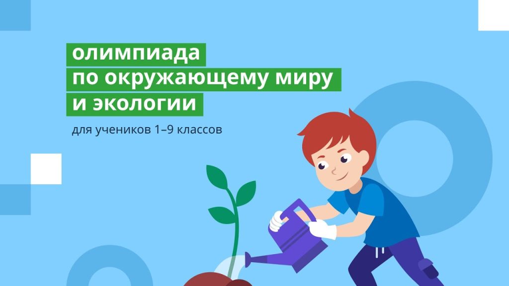 Школьники улучшат экологические знания благодаря нацпроекту «Экология»