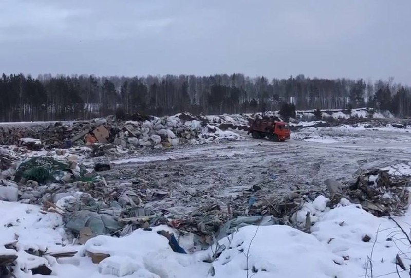 Эксперты Российского экологического общества выявили очередную нелегальную свалку