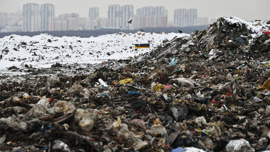 Более 170 мусорных заводов вблизи аэродромов обязали отогнать от себя птиц к сентябрю 2024 года