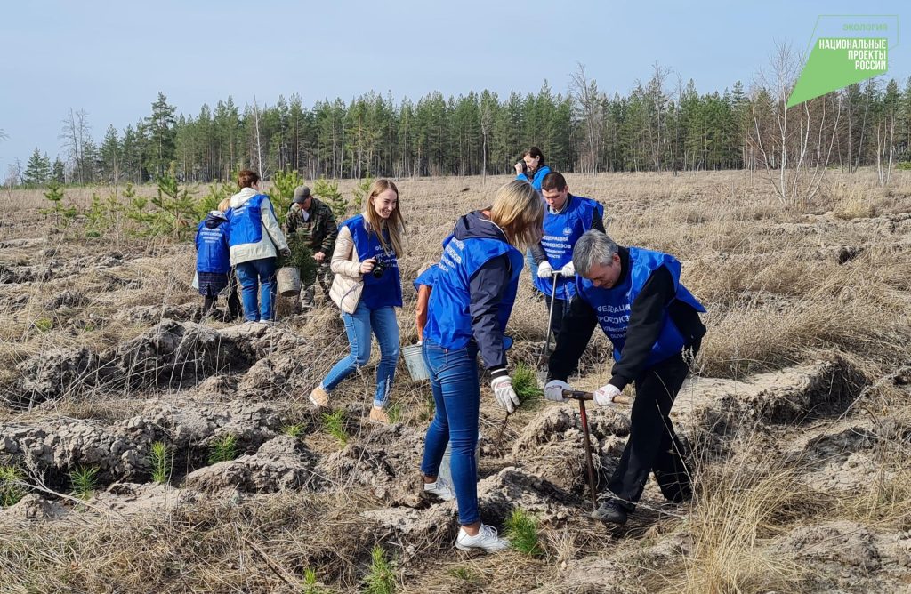 В Ульяновской области стартуют мероприятия по экологическому благоустройству