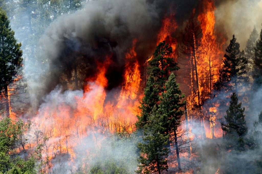 Как Якутия готовится к лесным пожарам?