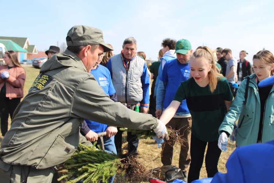 В Чувашии акция «Семейный лес» объединила свыше 500 участников из России, Беларуси и Таджикистана