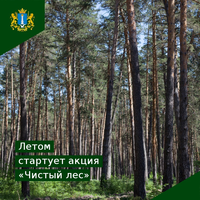 В Ульяновской области стартует акция «Чистый лес»