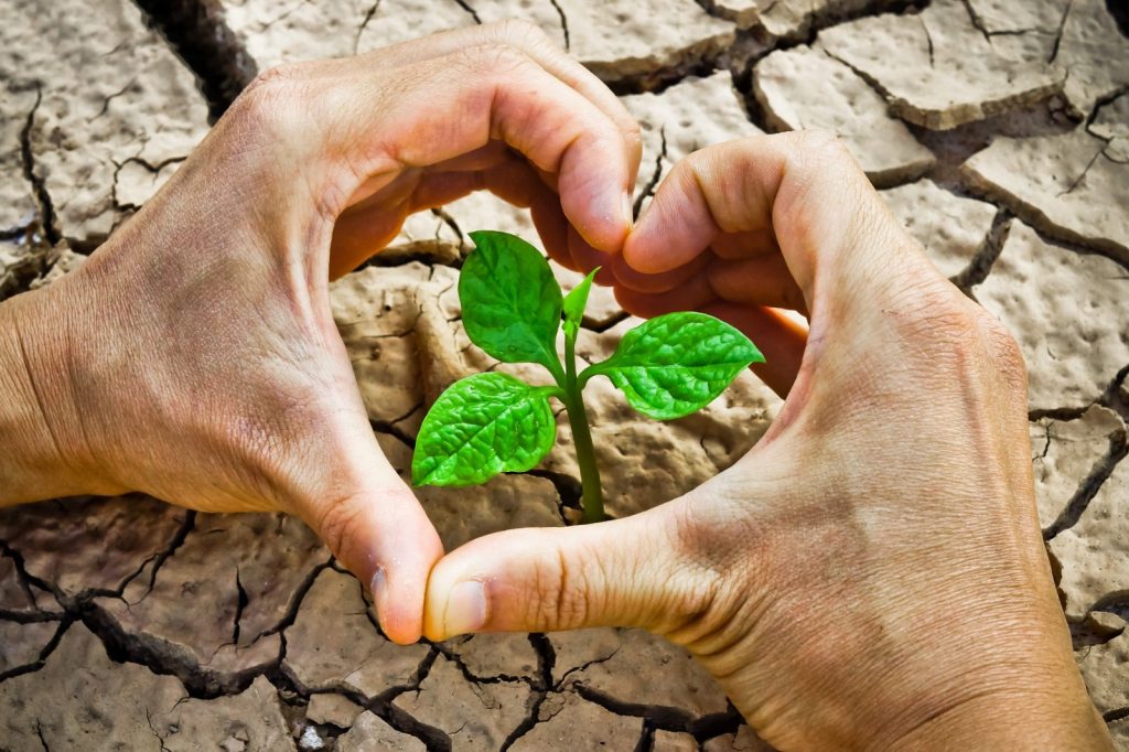«Почва – главный ресурс экологического равновесия и продовольственной безопасности страны»