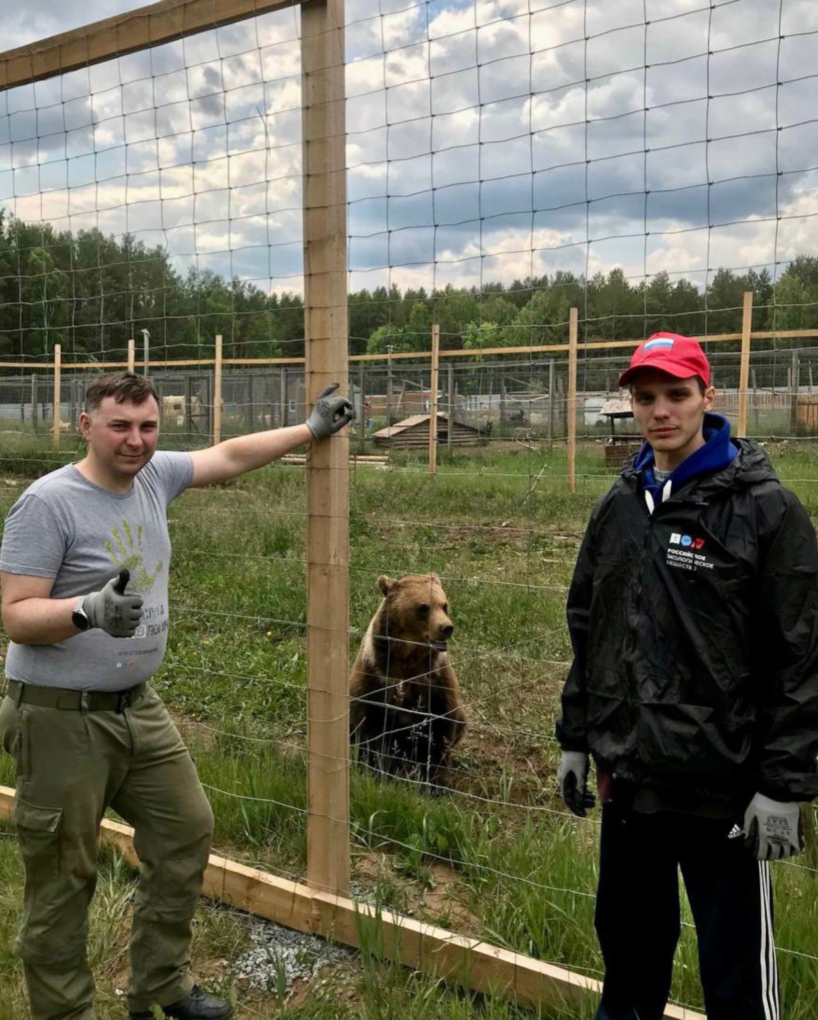 Медведица Маша заселилась в новый вольер в центре реабилитации животных «Альфа»