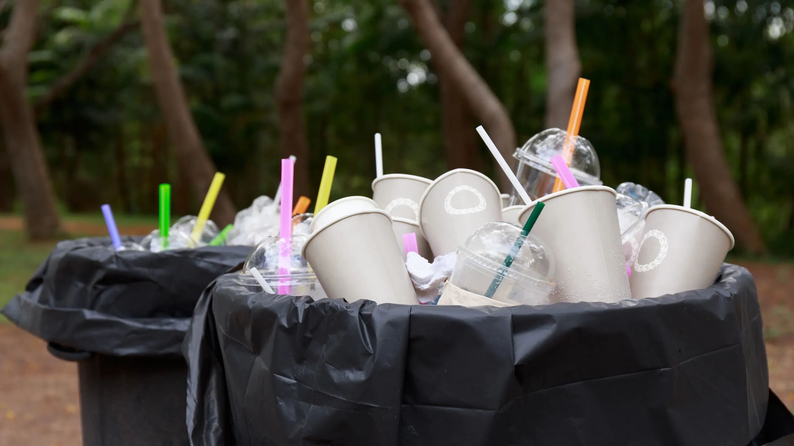 Глава Российского экологического оператора Денис Буцаев — о том, почему необходимо запретить некоторые виды пластиковых изделий