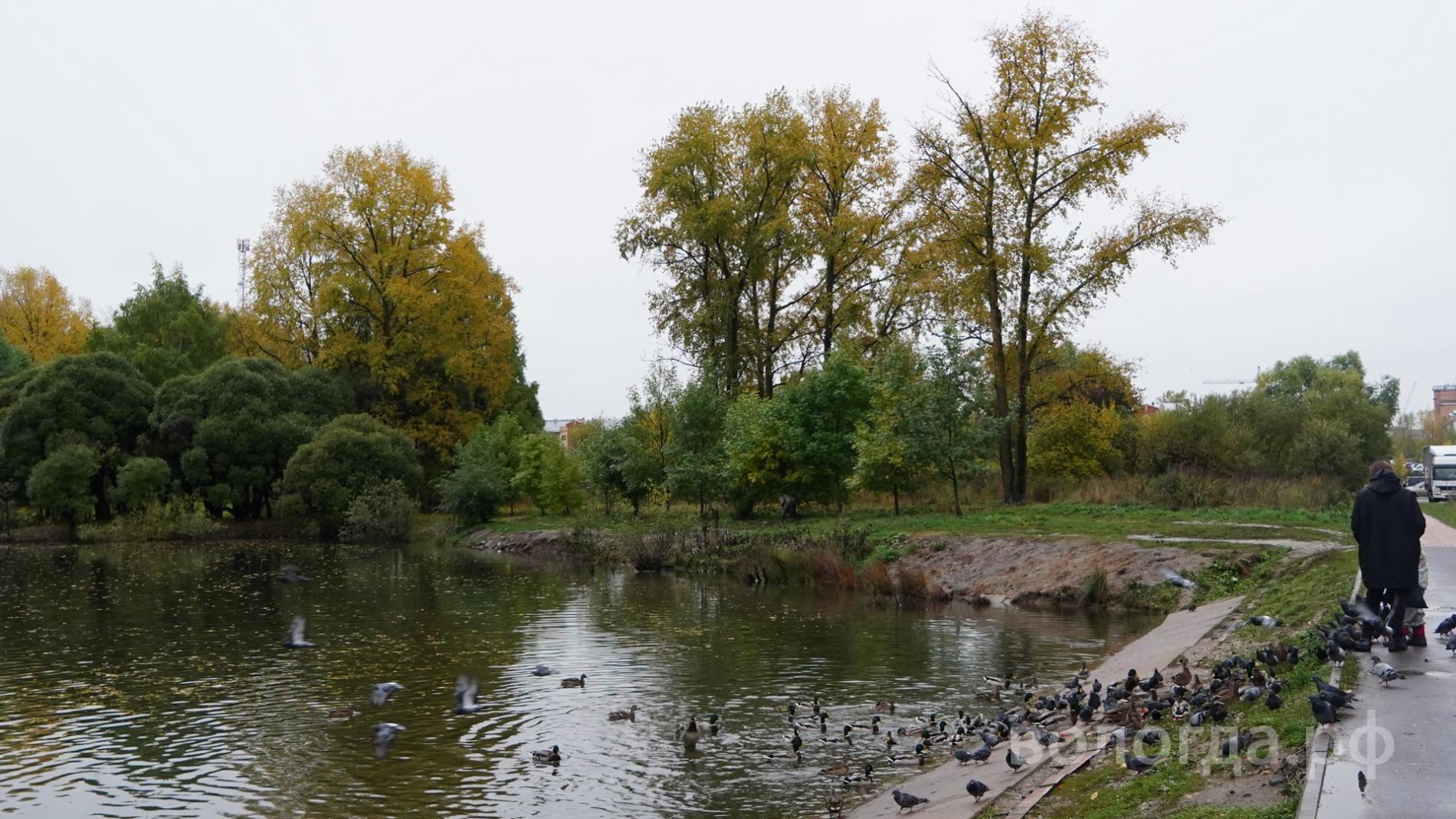 К реновации городских прудов планируют приступить в Вологде