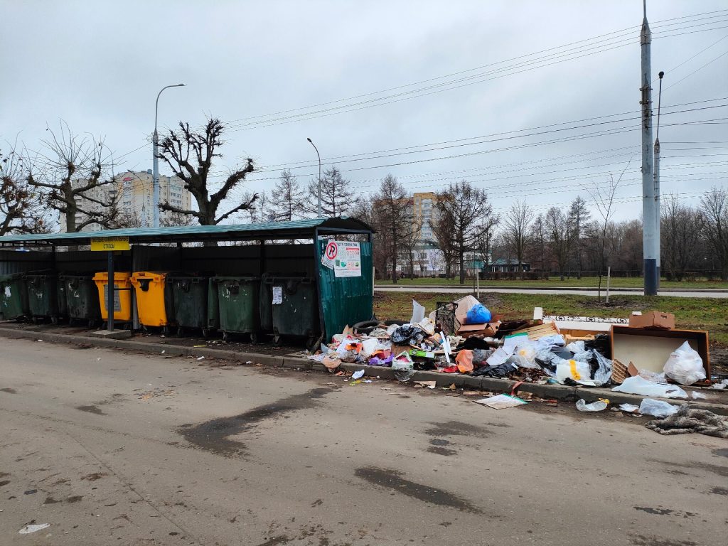 В Тамбове продолжается зеленый рейд Российского экологического общества