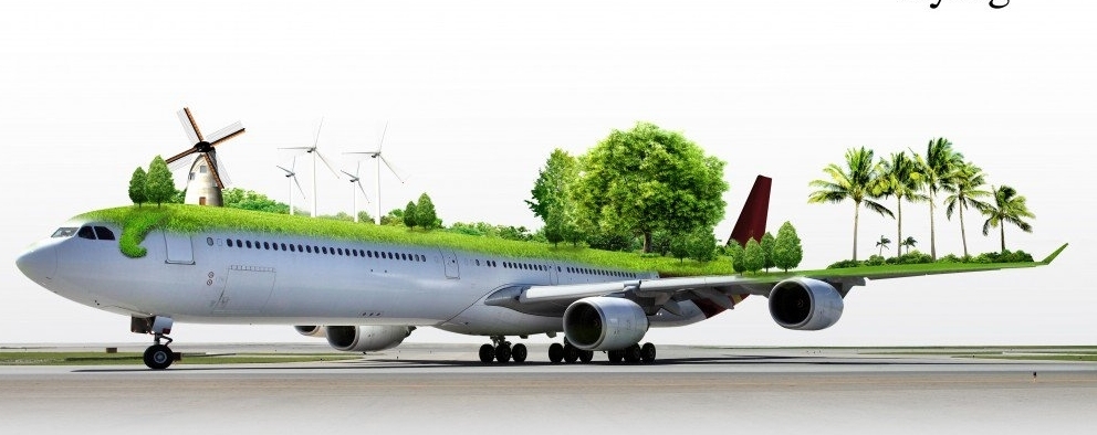 Круглый стол «Экология авиатранспортной отрасли – путь к устойчивому развитию»