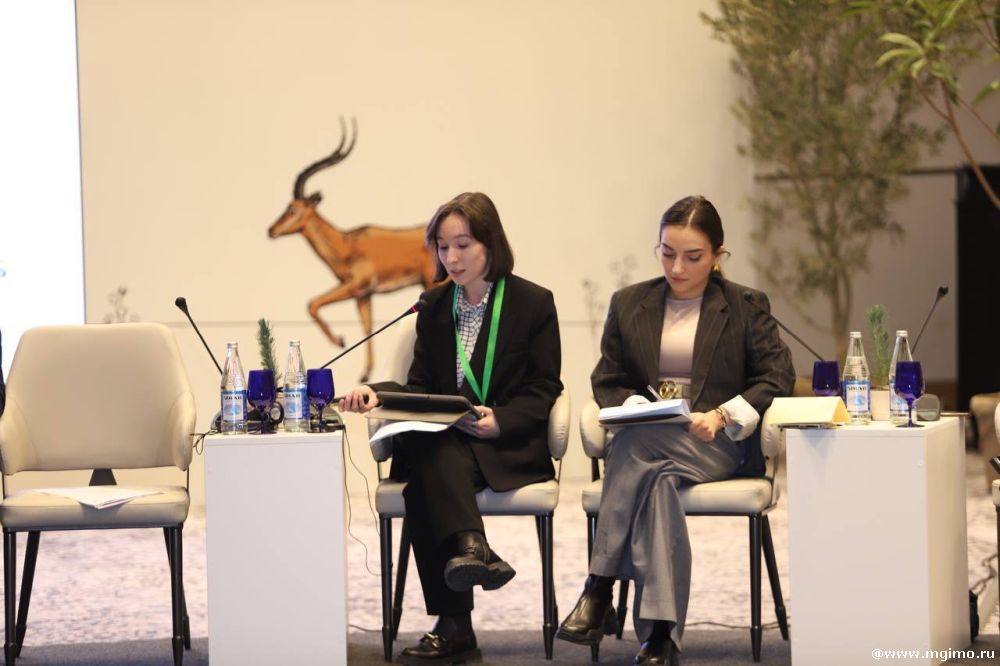 Баку принимает решение: I Международная конференция молодежи по переговорам по климату