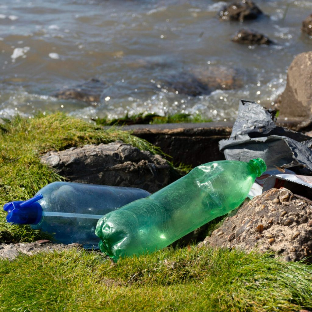 Полина Позднякова: «Сброс отходов в водоемы — большая и распространенная проблема»