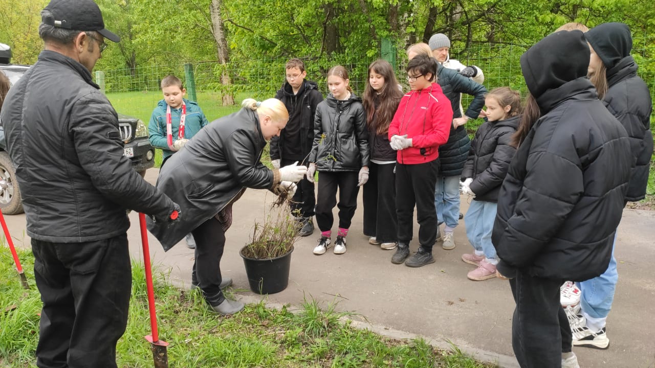При поддержке Российского экологического общества в Дягилево Военном высадили около 100 саженцев дуба черештятого