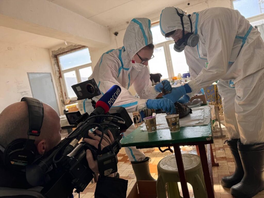 Увеличение количества птиц, пострадавших от разлива мазута в Керчи. Волонтерам нужна помощь