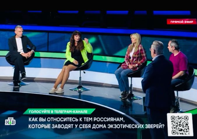 В программе «Место встречи» состоялось обсуждение запрета содержания диких животных в домашних условиях
