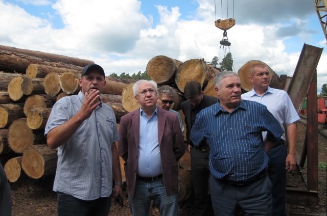 ООО «Бийский лесхоз»: развитие ответственного лесопользования в Алтайском крае