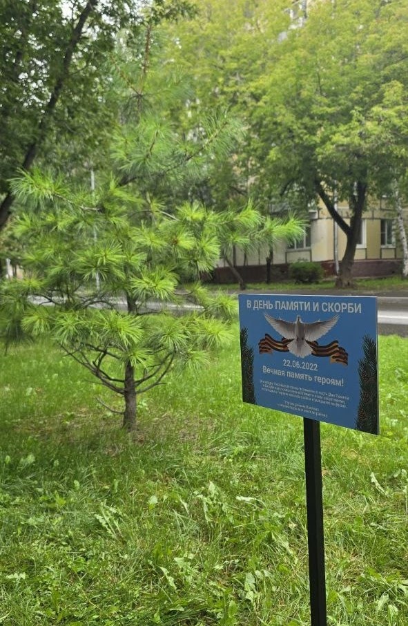 В районе Коптево города Москвы установили памятную табличку у посаженных сосен в память о павших в Великой Отечественной войне