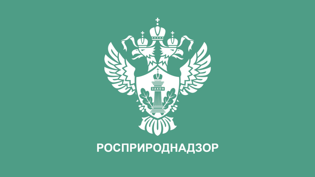 Эксперты Российского экологического общества приняли участие в заседании рабочей группы НТС Росприроднадзора