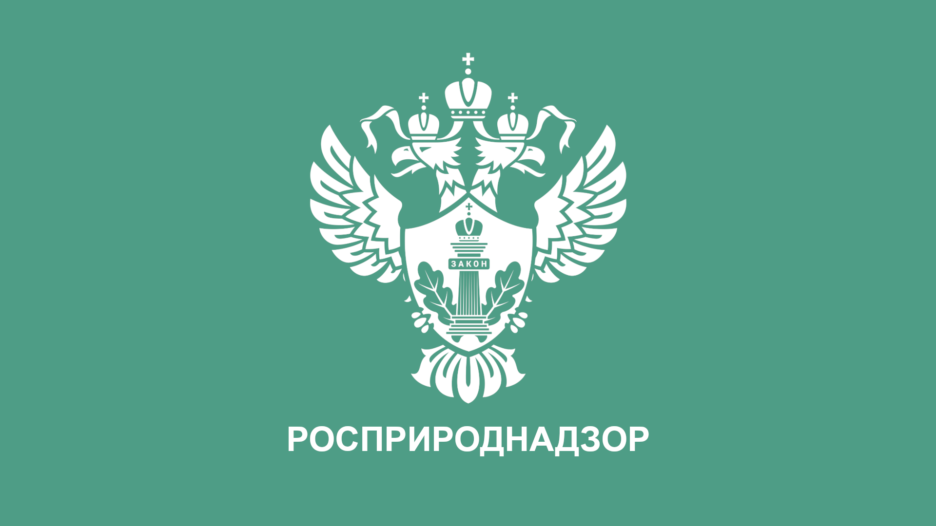 Эксперты Российского экологического общества приняли участие в заседании рабочей группы НТС Росприроднадзора