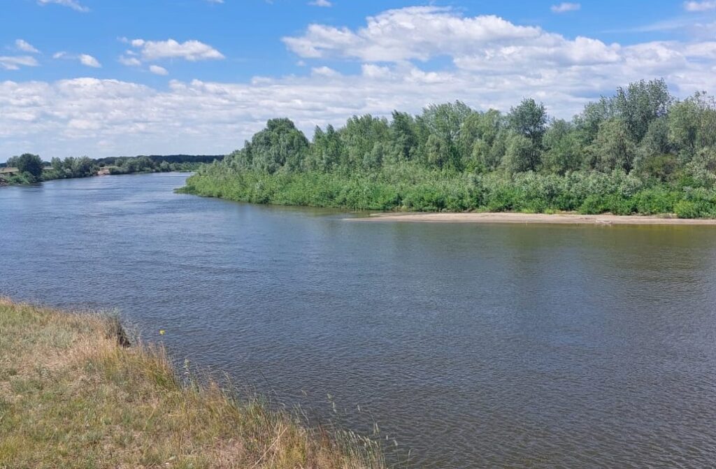 «Ожившие реки»: истории водоёмов после восстановления