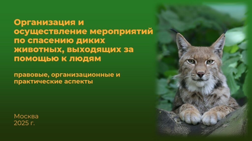 Спасение диких животных. Инструкция к применению