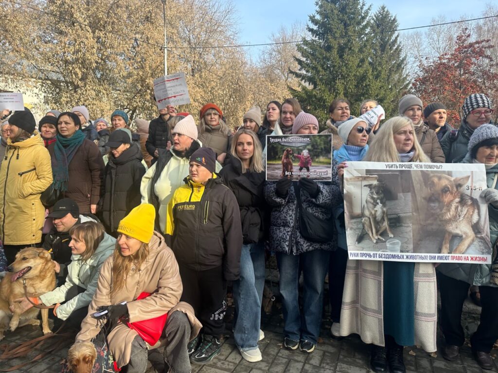 Дарья Украинцева выступила против принятия законопроекта, включающего пункт об эвтаназии безнадзорных животных